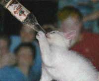 chug!